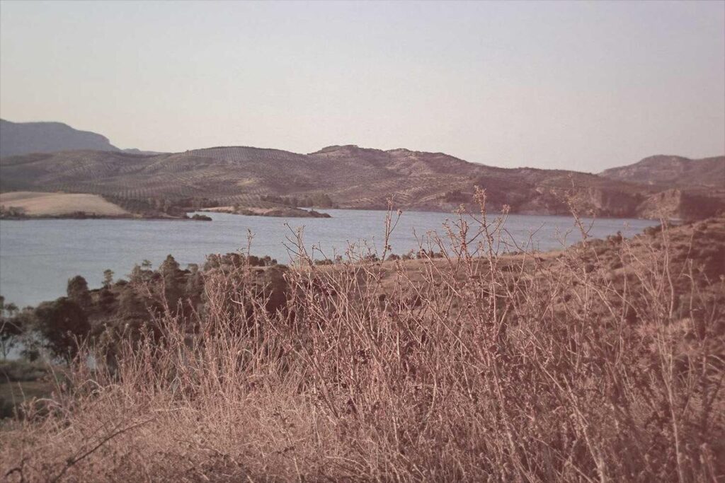 Виктория Павлова